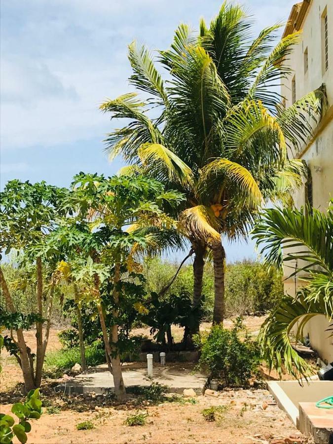 White Sands Anguilla - Sea Blowing Point Village Exterior foto